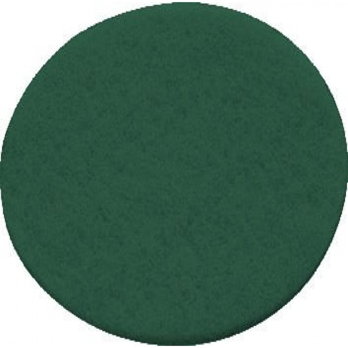 Festool 496508 Vlies, Green for 150 mm (6") Sanders, 10 Pack