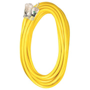 Voltec 12/3 100-ft. SJTW Outdoor Extension Cord with Lighted Receptacle, 300V (05-00366)
