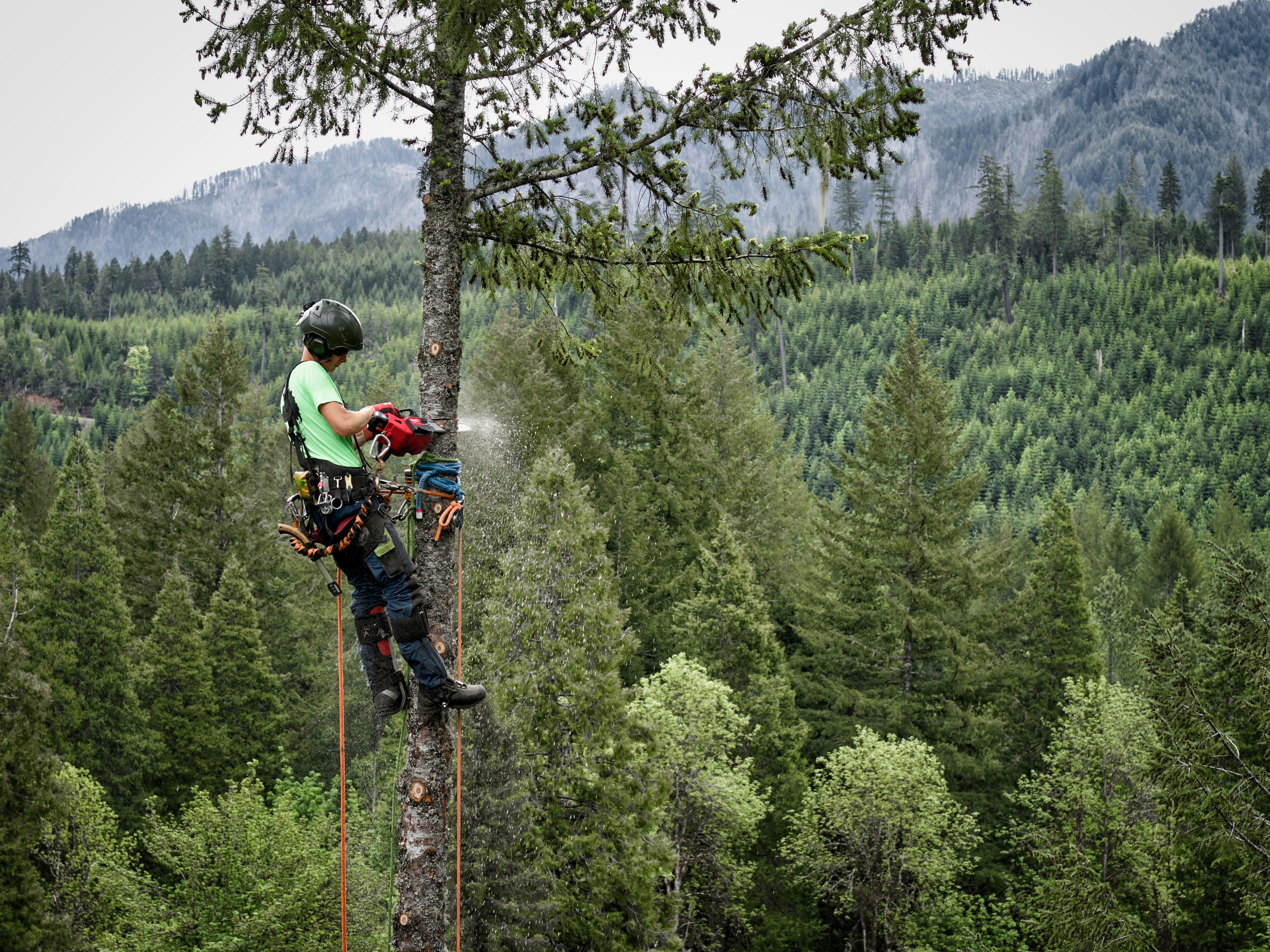 Milwaukee 49-16-2743 12