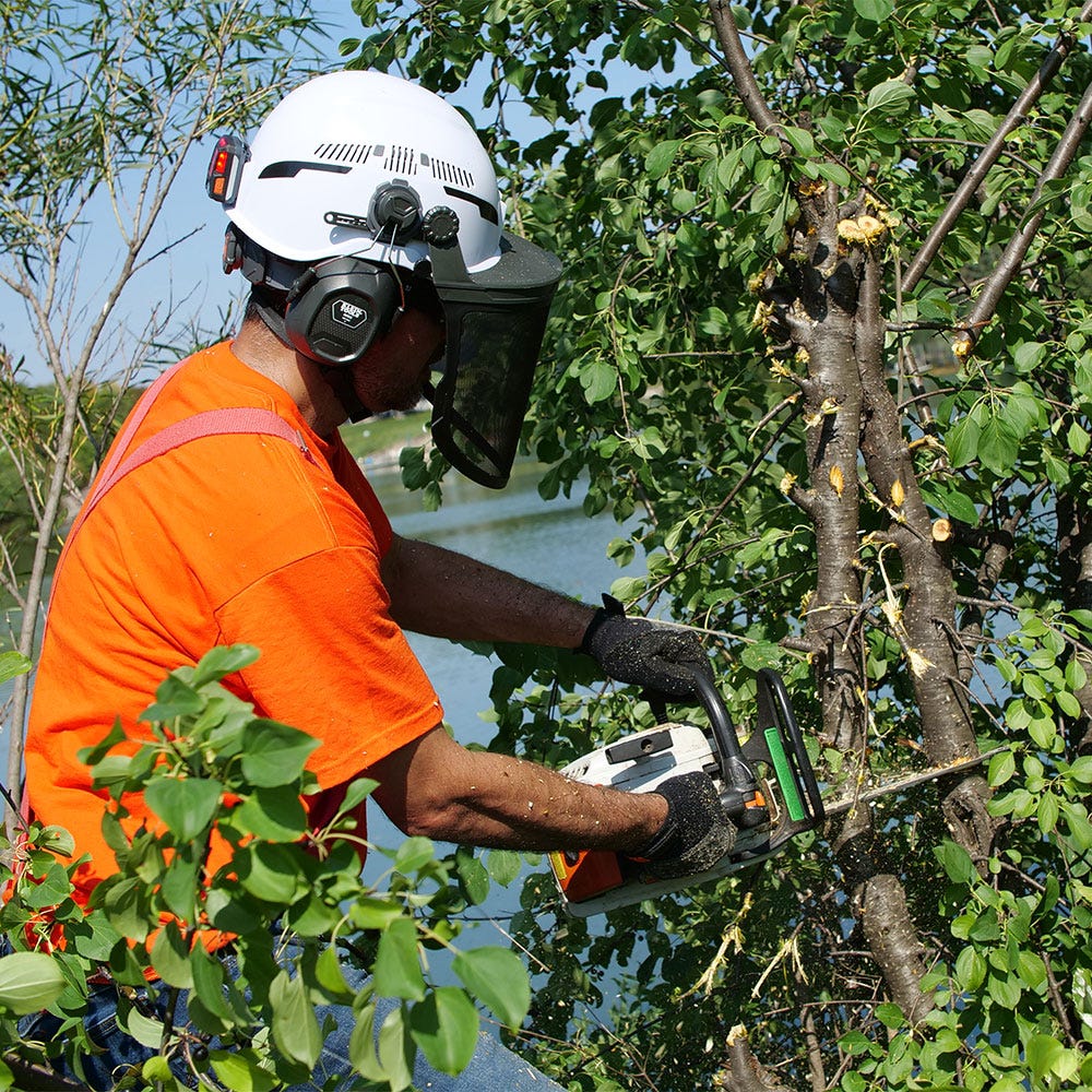 Klein Tools 60545 Forestry Kit