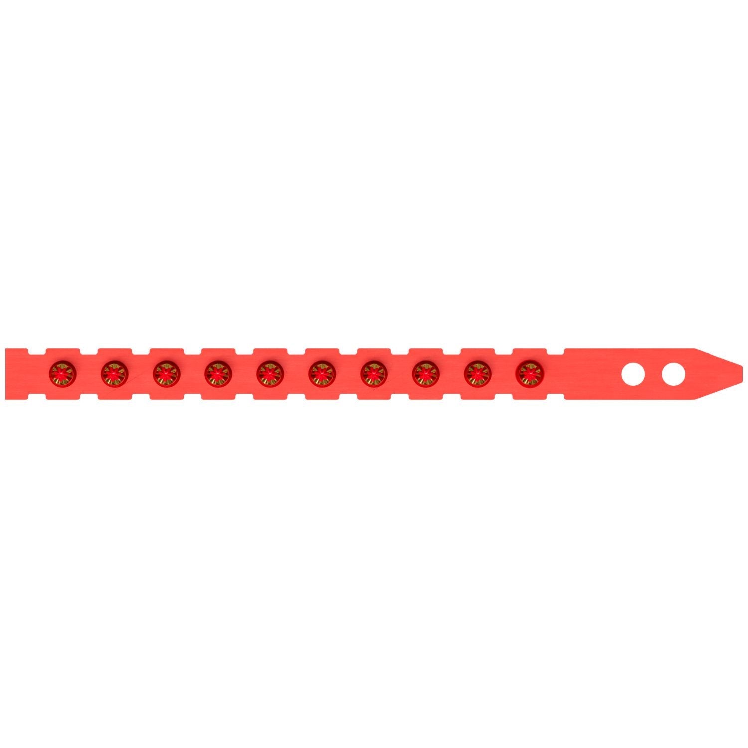 Simpson Strong-Tie P27SL5A P27SL 0.27-Caliber Plastic, 10-Shot Strip Loads, Red - Imported, 100-Pack