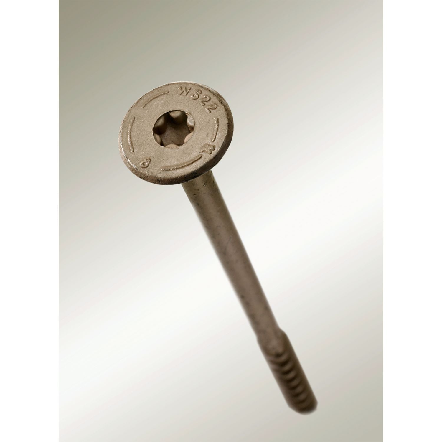 Simpson Strong-Tie Strong-Drive SDWS TIMBER Exterior Grade Screw, 0.220-in. x 5-in. T40, Tan, 50-Pack (SDWS22500DB-R50)