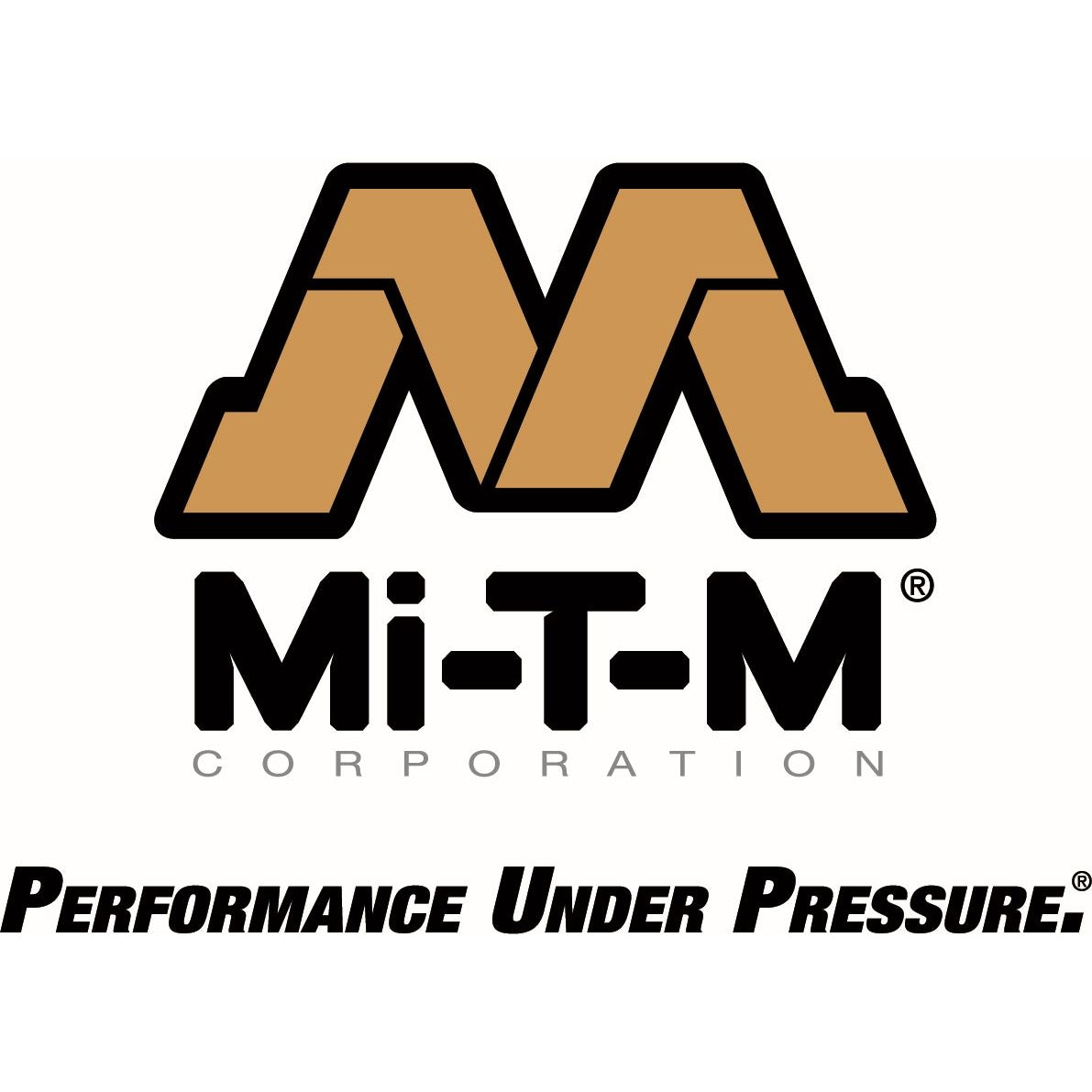 Mi-T-M AG2-PM14-08M1 8-Gallon Two Stage Gasoline Air Compressor/Generator Combination