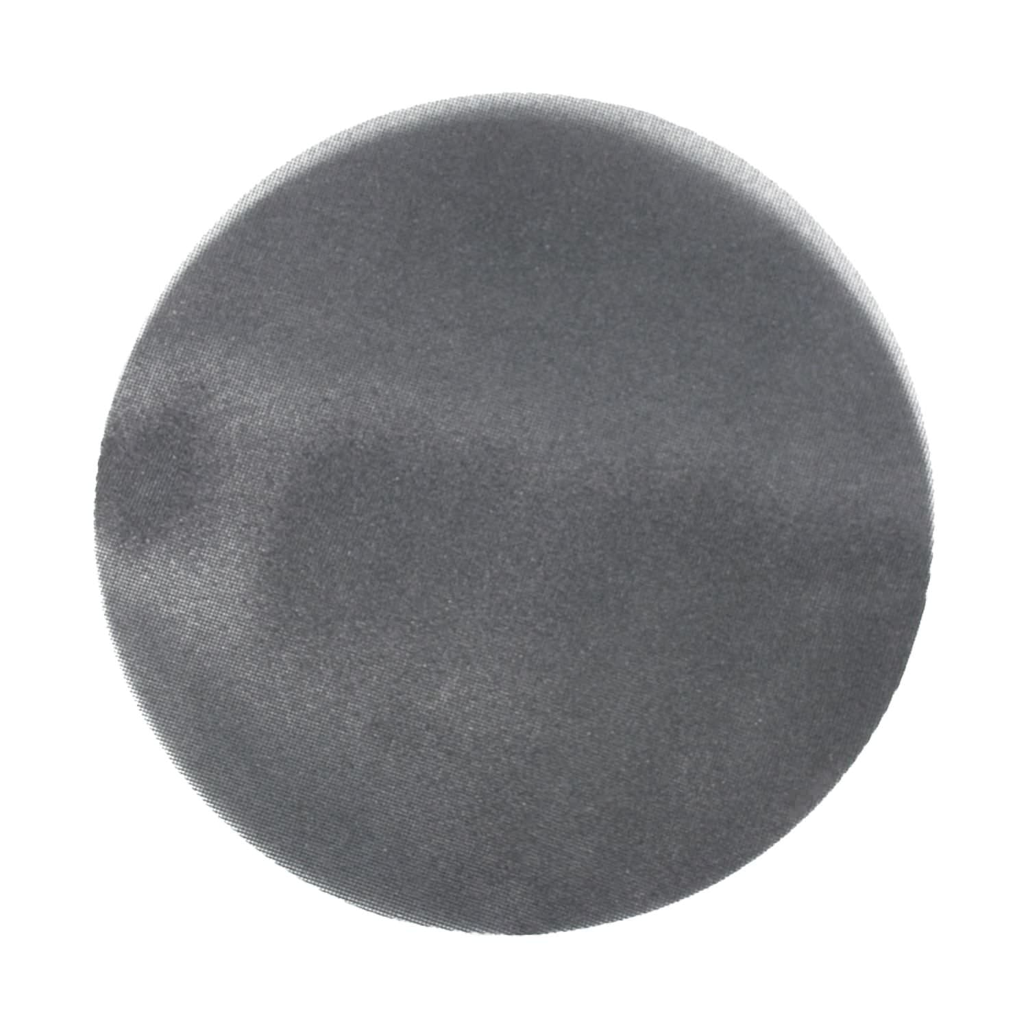 Avanti PCE170080E01G 17 in. 80 Grit Sanding Screen