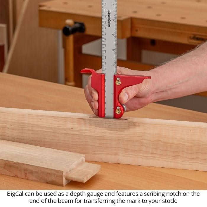 Woodpeckers BC-12300 BigCal 12 in. (300mm) Woodworking Caliper