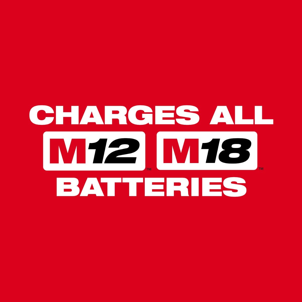 Milwaukee 48-59-1804 Gangbox M18 and M12 Rapid Charger
