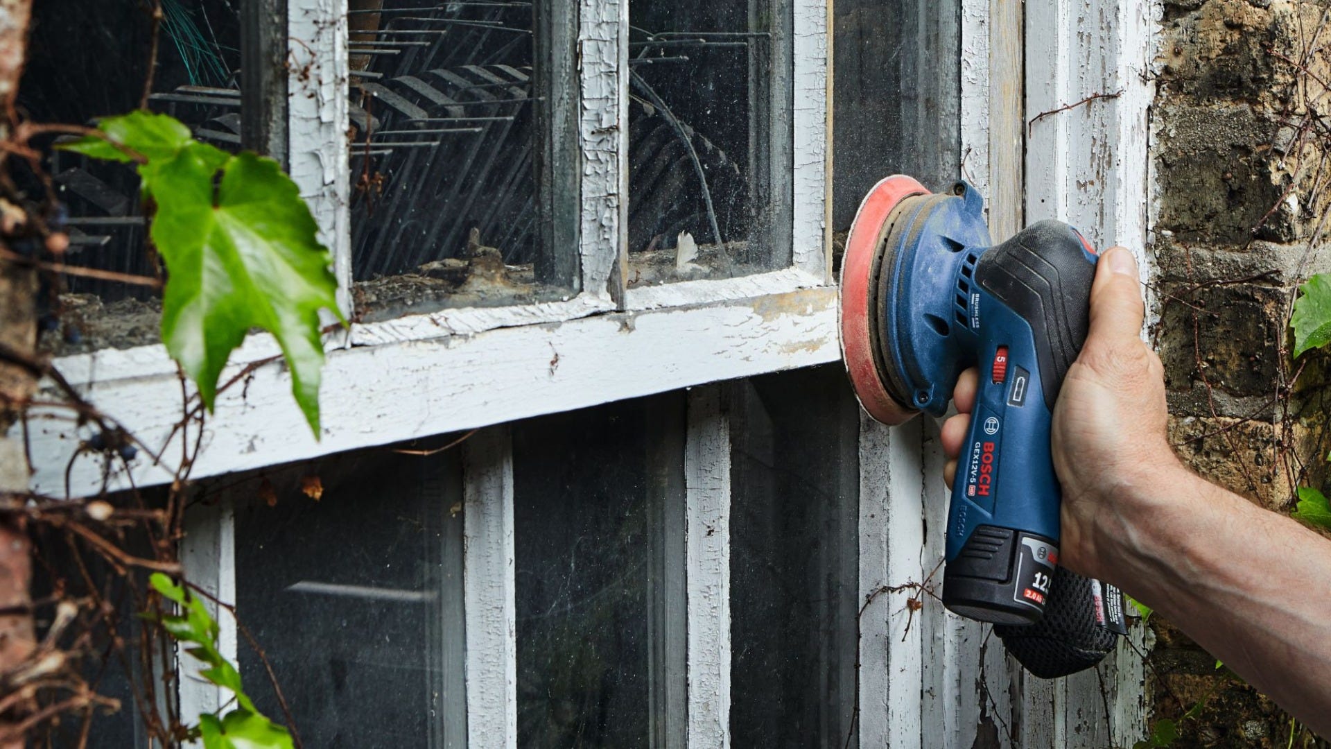 Bosch GEX12V-5N 12V Max Brushless 5-in. Random Orbit Sander, Bare Tool