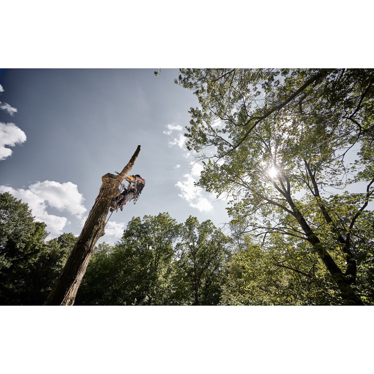 DeWalt DCCS674X2 FLEXVOLT 20V/60V MAX Brushless 14 in. Chainsaw 9.0Ah Kit