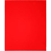Diablo DCS911100S04G 9 Inch x 11 Inch Sanding Sheets 100 Grit , 4-Pack