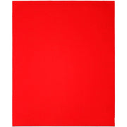 Diablo DCS911220S04G 9 Inch x 11 Inch Sanding Sheets 220 Grit , 4-Pack