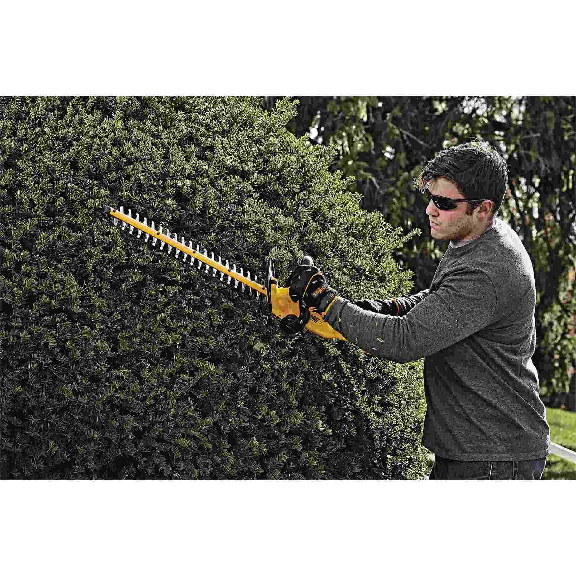 Dewalt DCHT820P1 20V MAX Hedge Trimmer 5.0Ah Kit