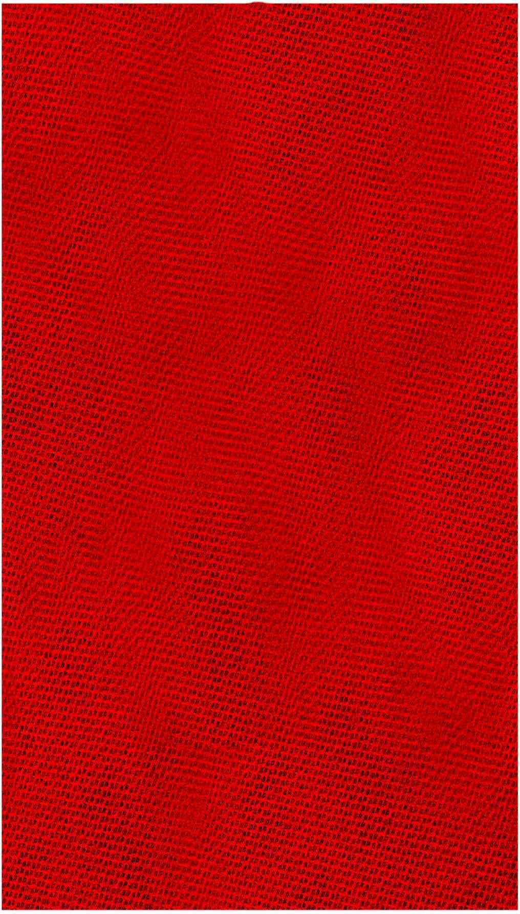 Diablo DND234100S10N 2-3/4 Inch x 5 Inch 100-Grit SandNET Reusable Sanding Sheets , 10-Piece