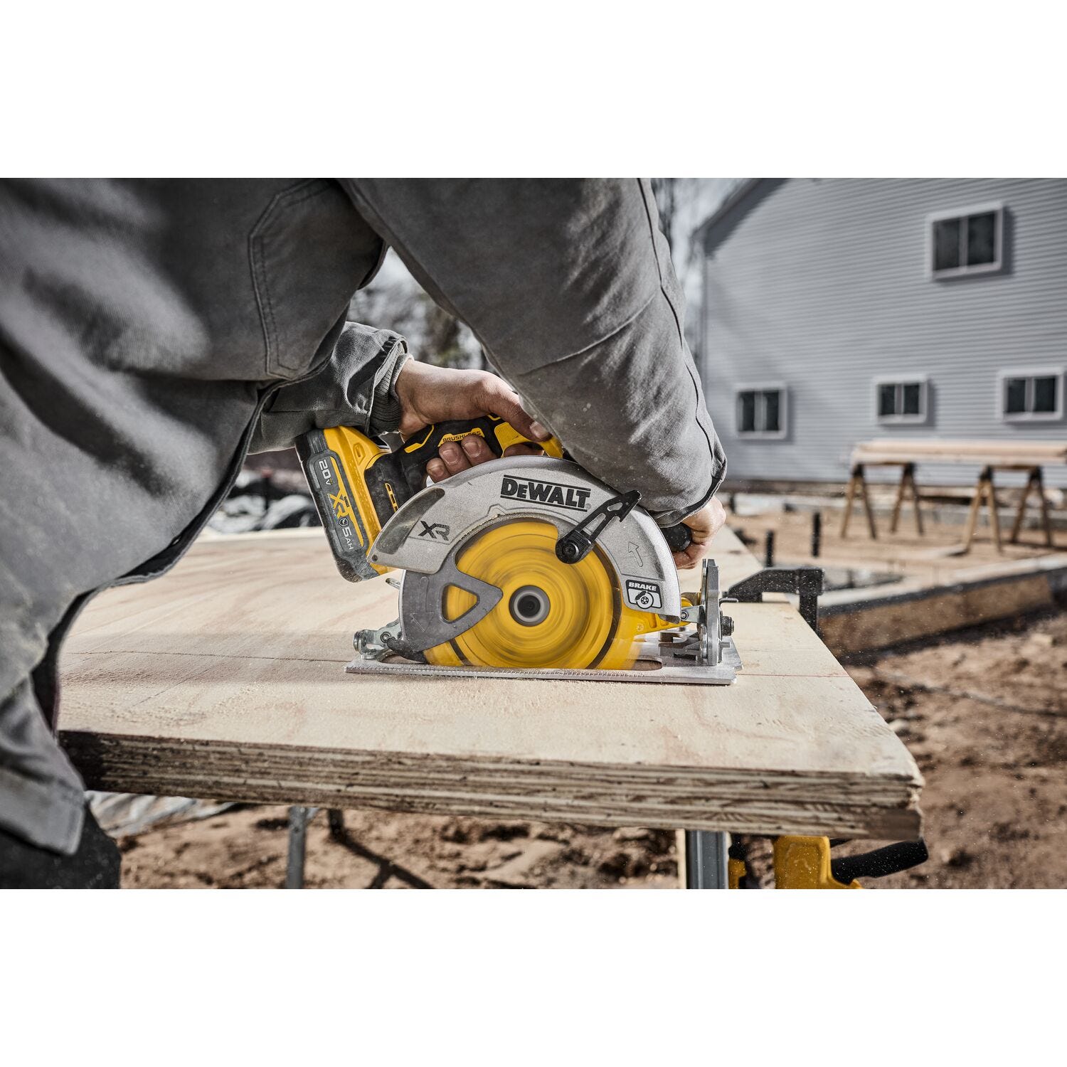 DeWalt DWA271424B10 7-1/4 in. 24T Carbide-Tipped Framing Saw Blade (10-Pack)