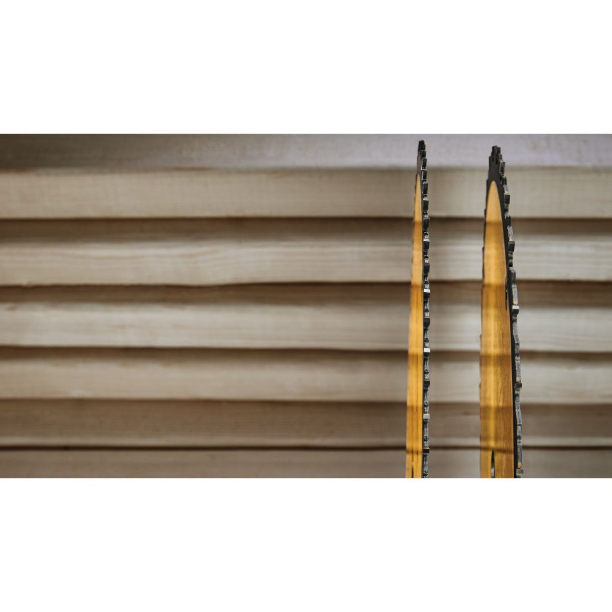 DeWalt DW3128P5 Construction 12-Inch Saw Blades, 32-Tooth and 80-Tooth