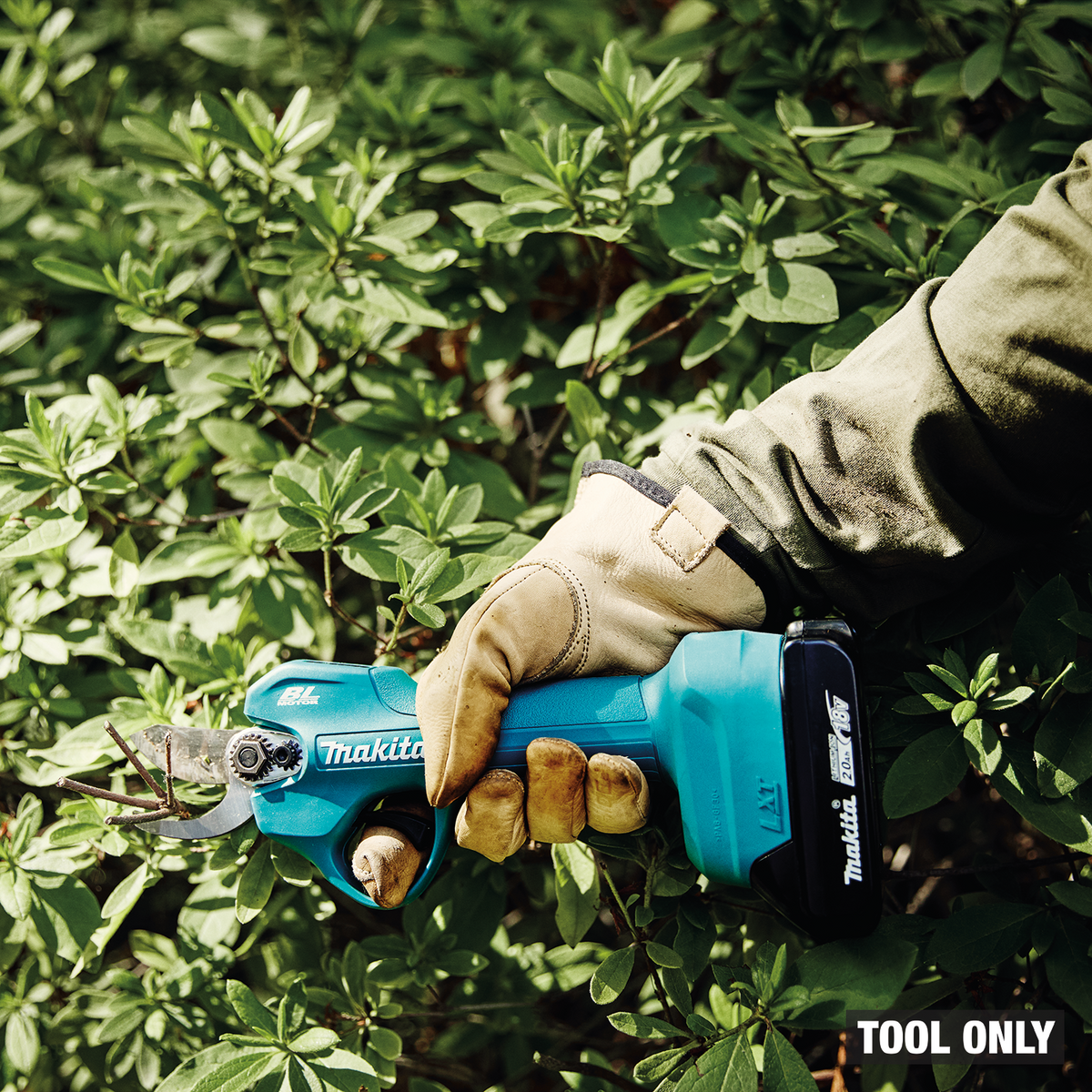Makita 18V LXT Brushless 1-3/16-in. Cordless Pruning Shear, Tool Only in use (XPU01Z)