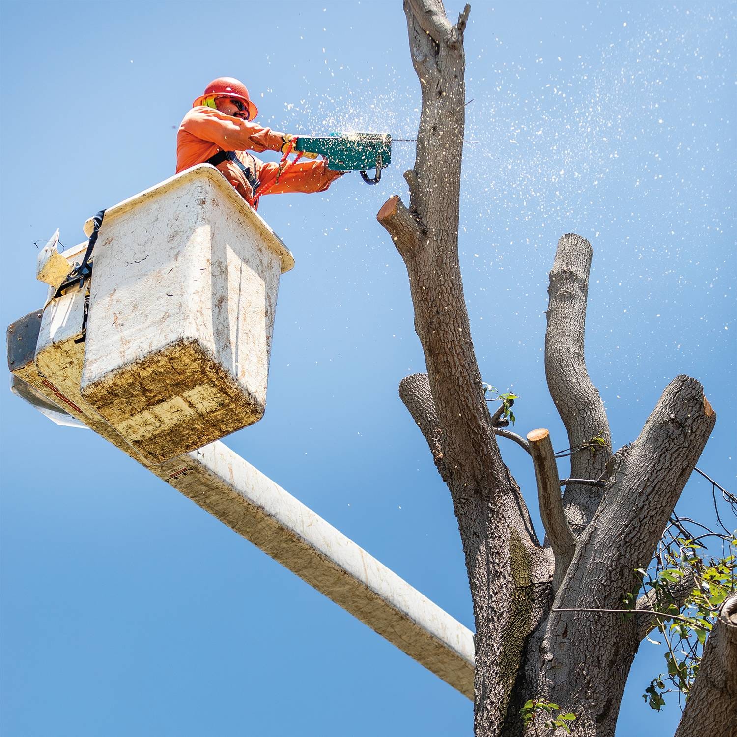 Makita GCU04Z 40V max XGT Brushless Cordless 18