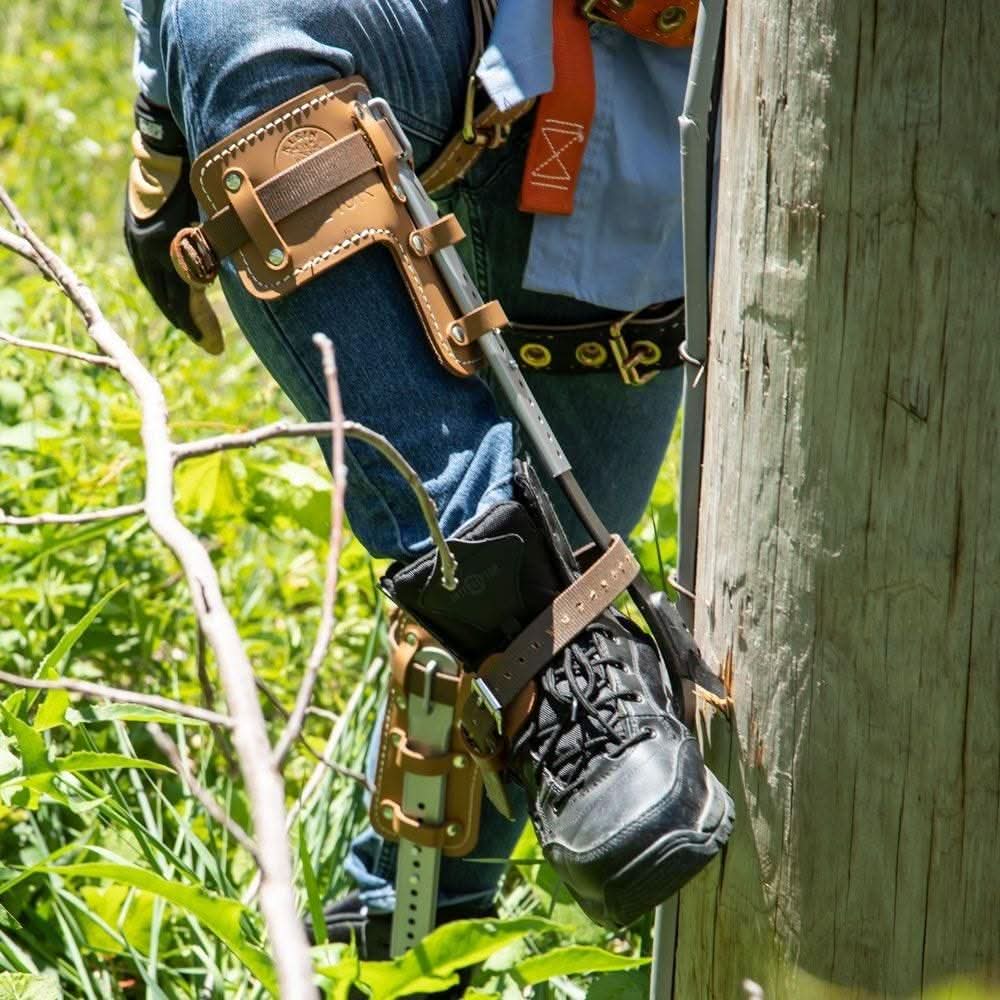 Klein CN1907AR Tree Climber Set 2-3/4-Inch Gaffs, 15 to 19-Inch