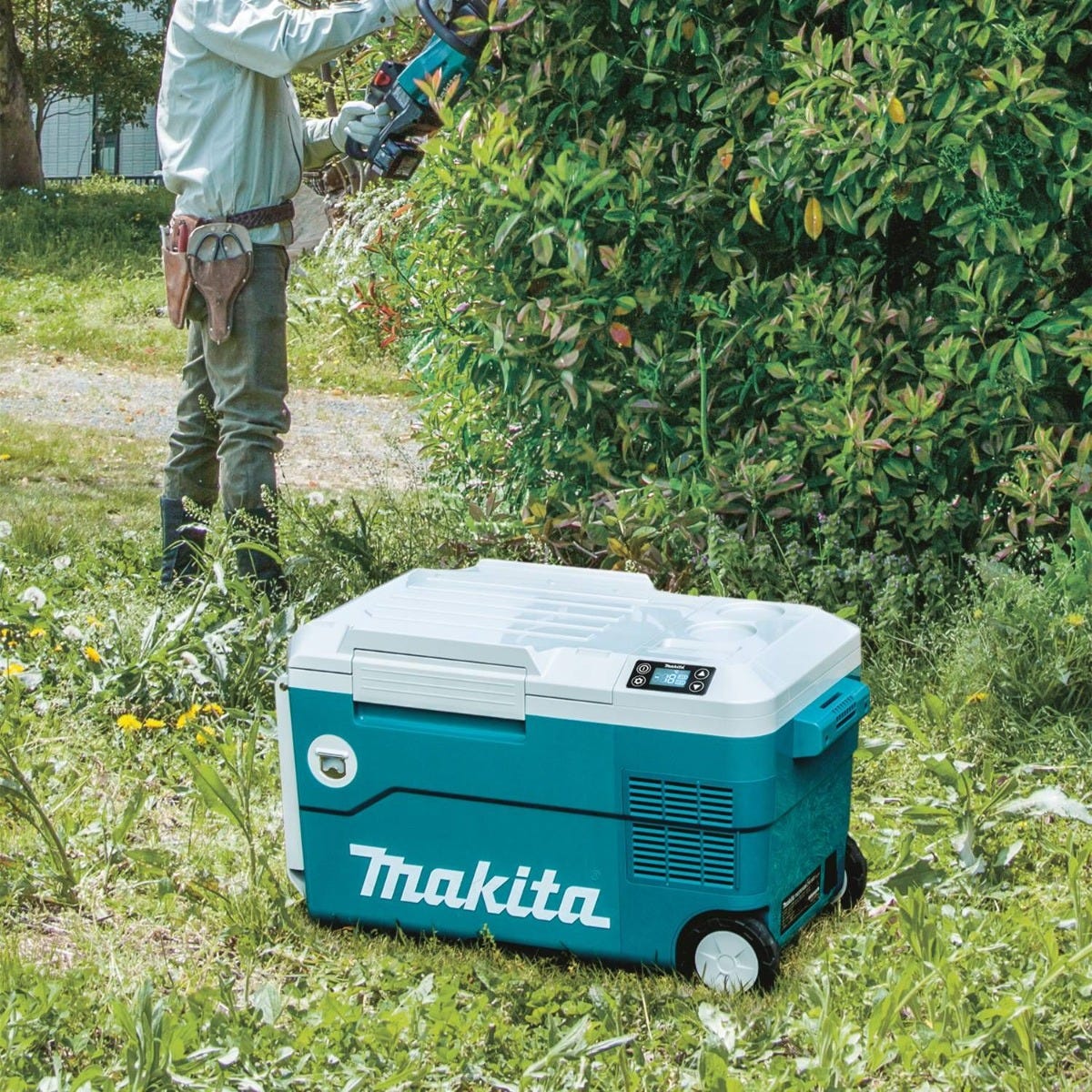 Makita DCW180Z 18V X2 LXT Lithium-Ion, 12V/24V DC Auto, and AC Cooler/Warmer, Tool Only