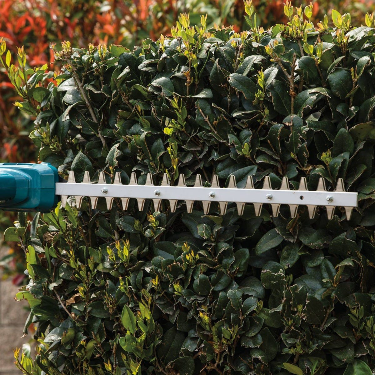 Makita XNU05Z 18V LXT Lithium-Ion Cordless 18" Telescoping Articulating Pole Hedge Trimmer, Tool Only