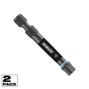 Diablo 2 in. Demon Torx T40 Drive Bit (DSDT402P2)