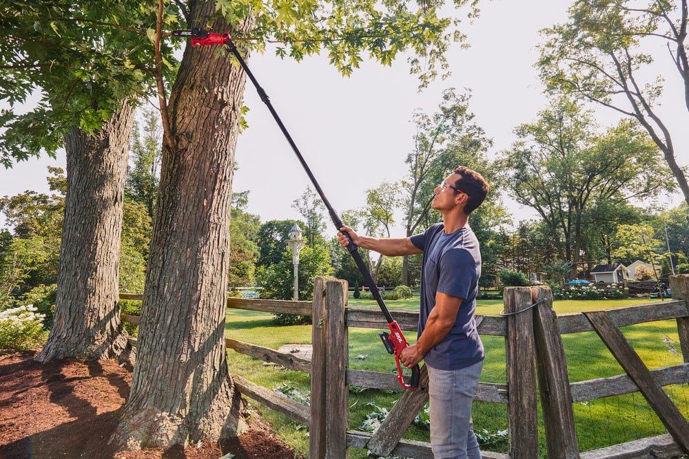 SKIL PWR CORE 20™ 8 IN. Pole Saw Kit