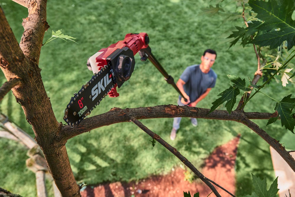 SKIL PWR CORE 20™ 8 IN. Pole Saw Kit